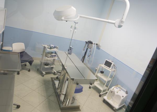 Neurologia Veterinaria a Chieri, Torino
