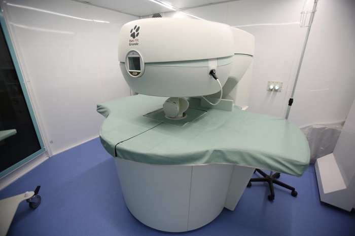 Risonanza Magnetica Veterinaria a Chieri, Torino